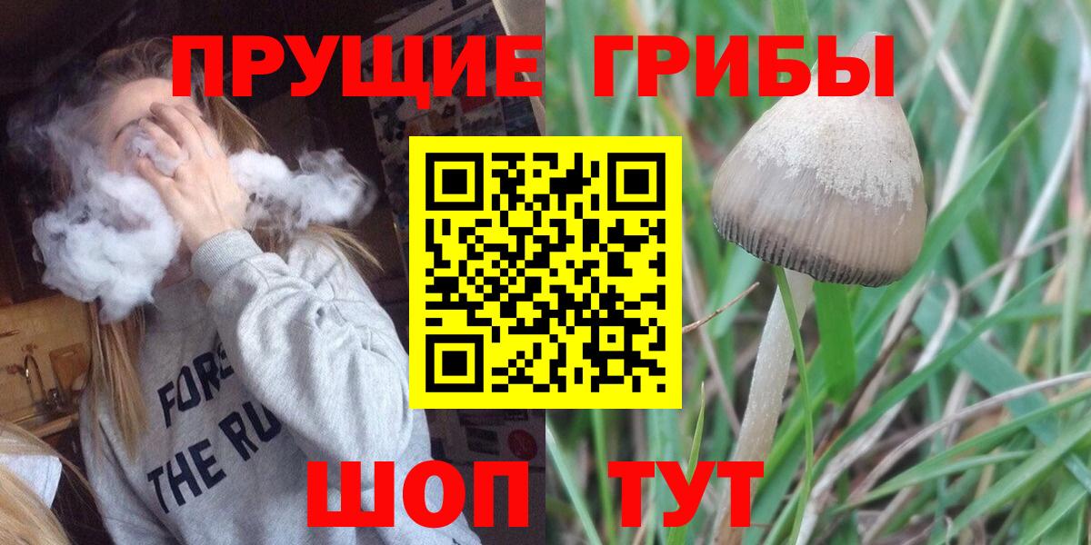 Курск  Галлюциногенные грибы ЛСД  Вход с VPN 