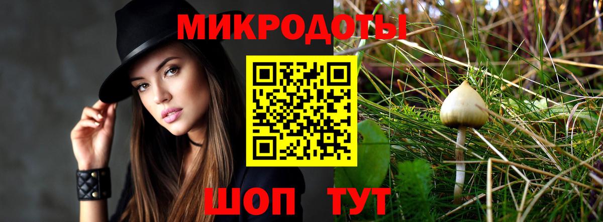 Галлюциногенные грибы Psilocybine cubensis Курск